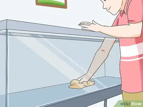 Image titled Buy a Gerbil Step 17