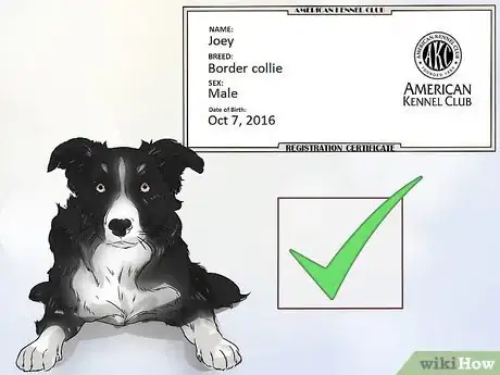 Image titled Avoid Crossbreeding As a Dog Breeder Step 6