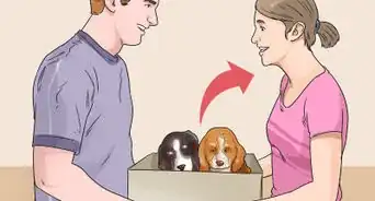 Breed Scottish Cocker Spaniels