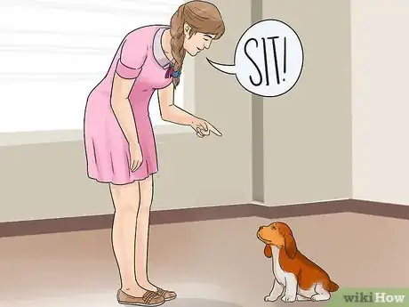 Image titled Exercise Your Puppy Step 7