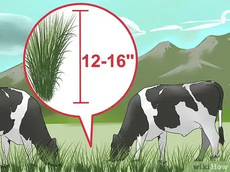 Image titled Plant Switchgrass Step 13