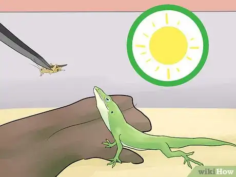 Image titled Feed an Anole Green Lizard Step 8