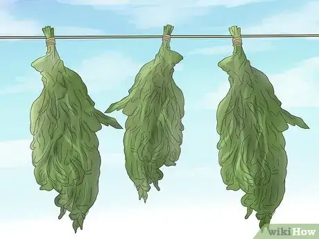 Image titled 549515 10