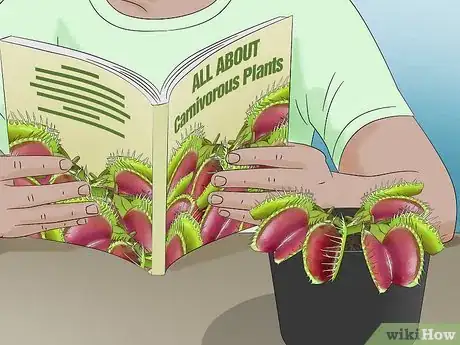 Image titled Feed Carnivorous Plants Step 8