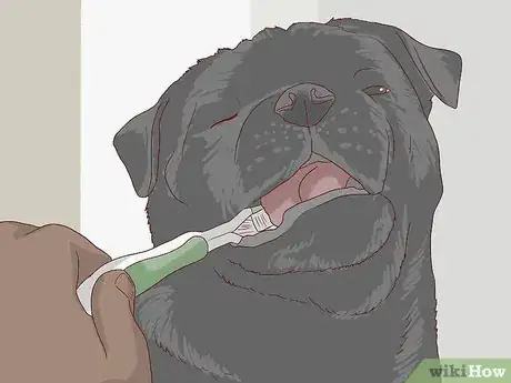 Image titled Feed an Older Dog with Heart Disease Step 10