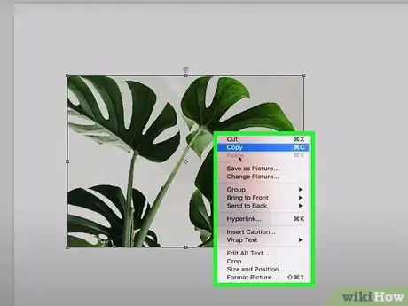 Image titled Add Images to a Microsoft Word Document Step 17