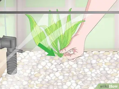 Image titled Set up a Planted Goldfish Aquarium Step 12
