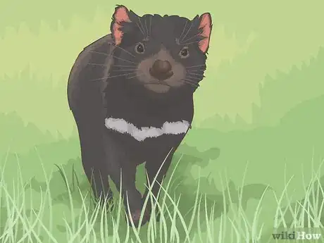 Image titled Travel in Tasmania Step 2