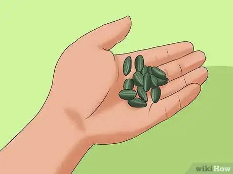 Image titled Grow Sunflowers Step 15
