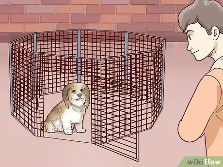 Image titled Choose a Small Dog Step 13
