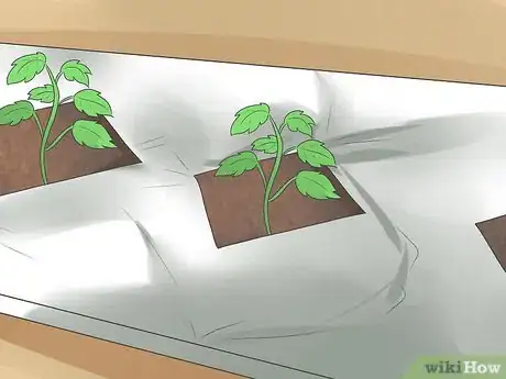 Image titled Control Whiteflies Step 14