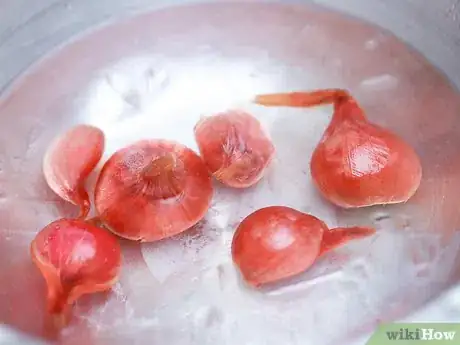 Image titled Peel Cipollini Onions Step 4