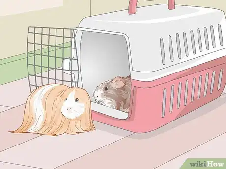 Image titled Run a Guinea Pig Rescue Step 2