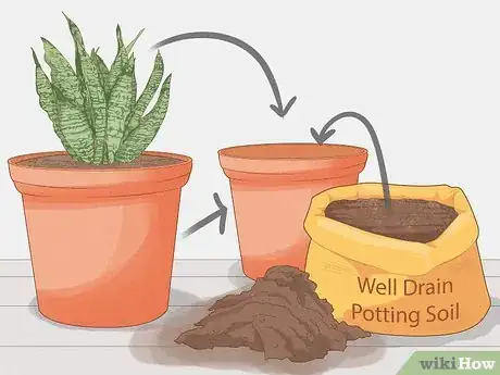 Image titled Prevent over Watering in House Plants Step 10