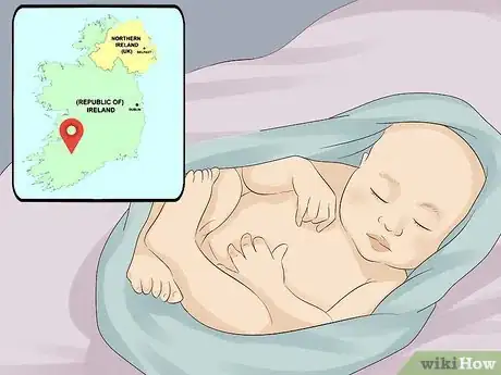 Image titled Obtain an Irish Passport Step 2.jpeg