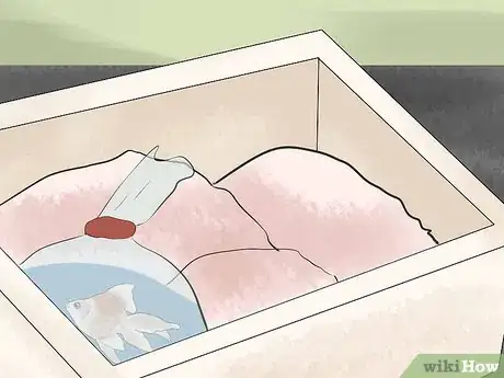 Image titled Transport Fish Step 10