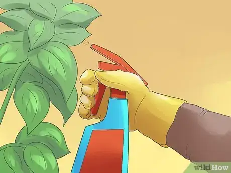 Image titled Control Whiteflies Step 16