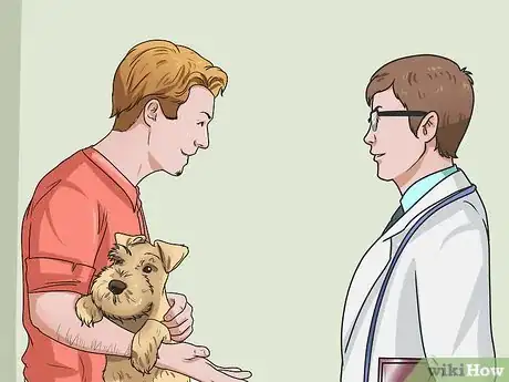 Image titled Calculate Dog Years Step 8