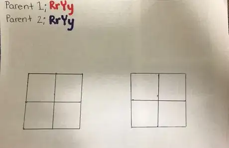 Image titled Photo 2 wiki how cropped