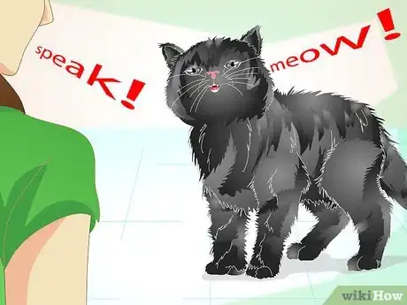 Image titled Train an Old Stubborn Cat to Do Tricks Step 11