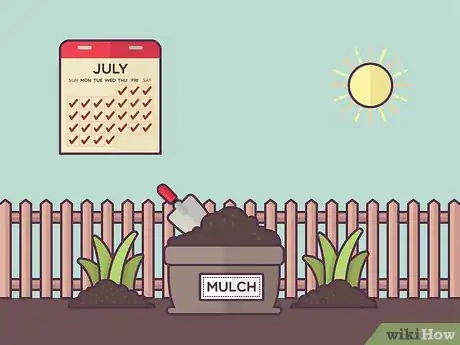 Image titled Plant Daylilies Step 14