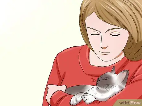 Image titled Get a Grumpy Cat to Like You Step 12