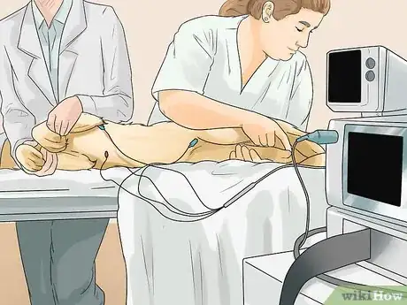 Image titled Promote Safe Whelping for Short Legged Dog Breeds Step 3