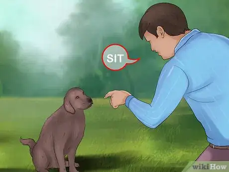 Image titled Adopt a Retired Guide Dog Step 10