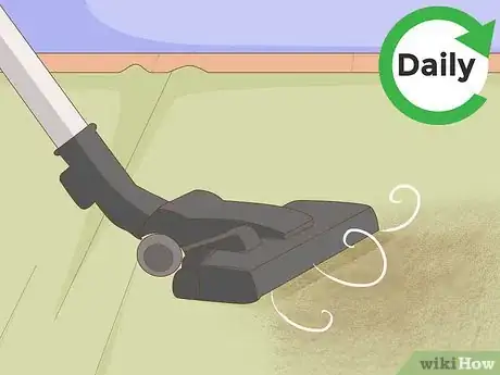 Image titled Treat a Cat With Asthma Step 16