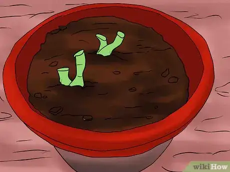 Image titled Overwinter Dahlias Step 10