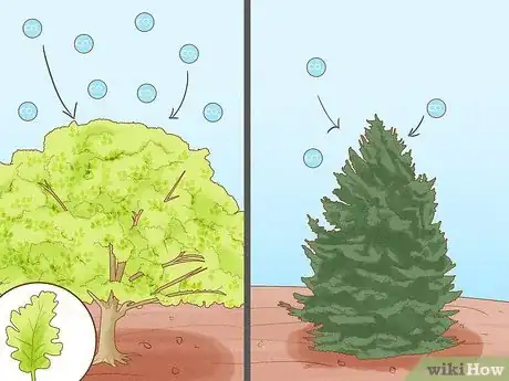 Image titled Plant Trees to Fight Climate Change Step 2