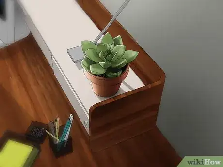 Image titled Choose Low‐Maintenance Houseplants Step 5