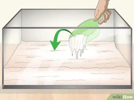 Image titled Care for a Marine Hermit Crab Step 3