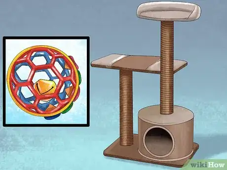 Image titled Take Care of a Singapura Cat Step 12