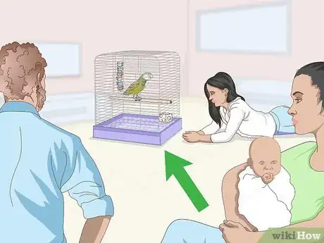 Image titled Keep a Senegal Parrot Entertained Step 5