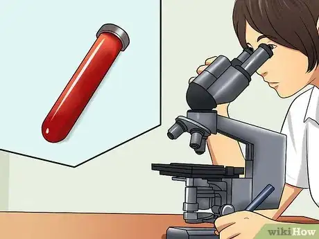 Image titled Diagnose Canine Allergies Step 8