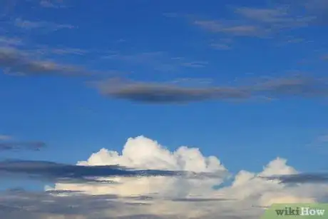 Image titled Strike a Lavender Cutting Step 1