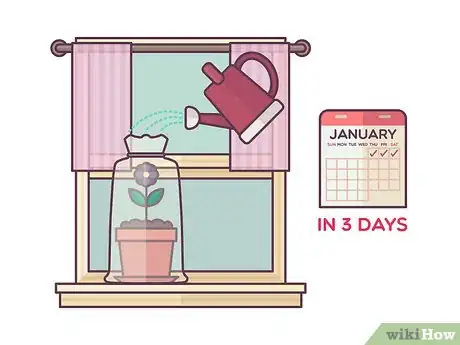 Image titled Repot African Violets Step 23