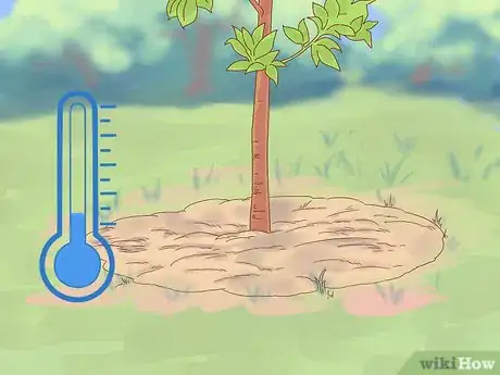 Image titled Plant Jackfruit Step 15