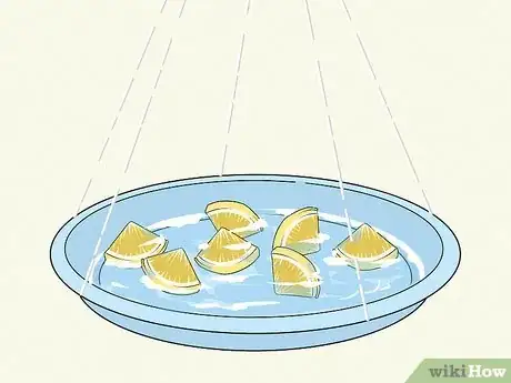 Image titled Make a Butterfly Feeder Step 10