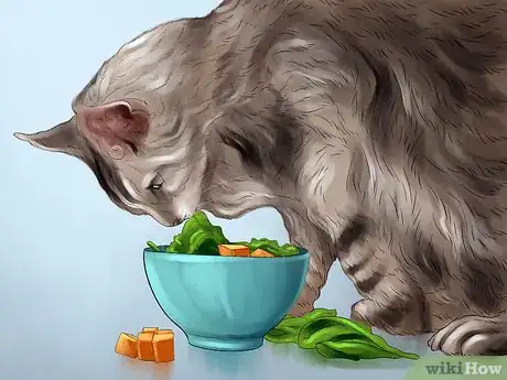 Image titled Avoid Feeding Your Cat Harmful People Foods Step 13