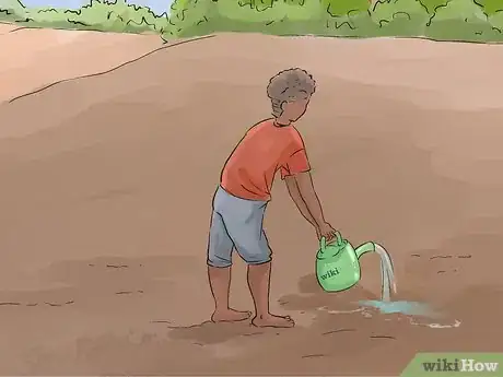 Image titled Grow Carrots in Nigeria Step 3