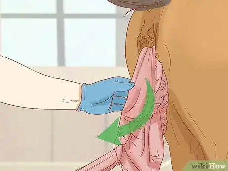 Image titled Prevent Laminitis in Horses Step 12