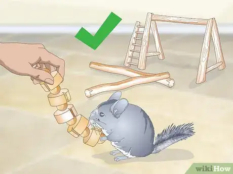 Image titled Avoid Poisoning a Chinchilla Step 3