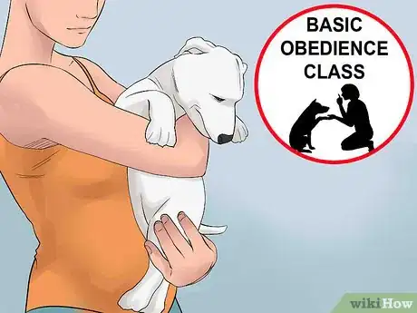 Image titled Find Low Cost Dog Training Step 2