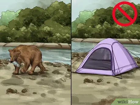 Image titled Keep Bears Away Step 11