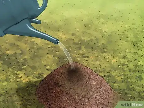 Image titled Get Rid of Ants in the Garden Step 6