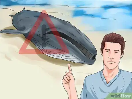Image titled Care for a Beached Animal Step 11