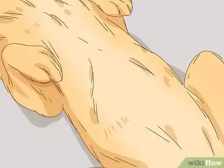 Image titled Pet a Dog Step 12