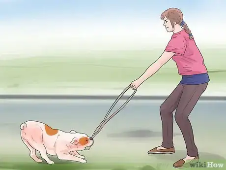 Image titled Enhance Your Dog's Recall Step 3